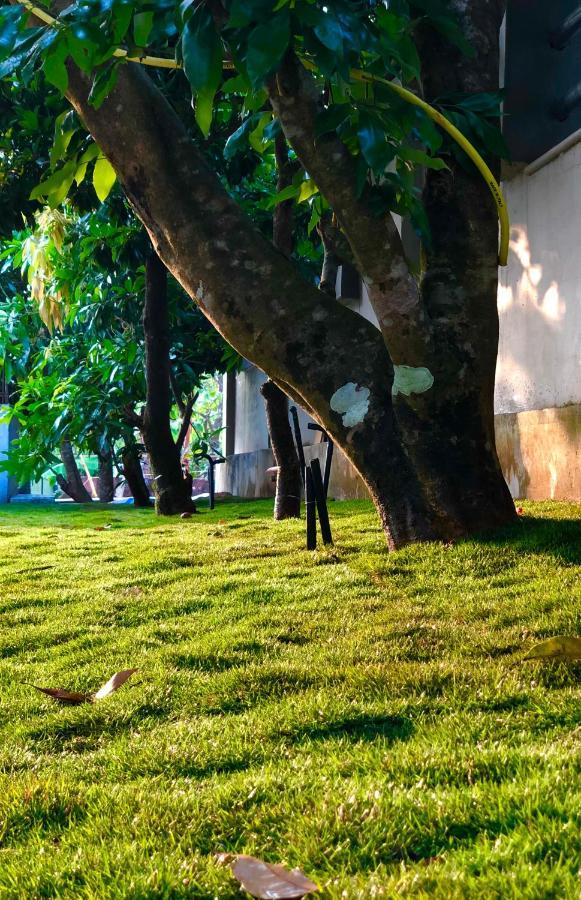 Royal Residency Apartment Tindummal Luaran gambar